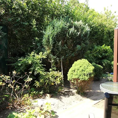 Apartment Appartementanlage Zaunkoenig 5 *